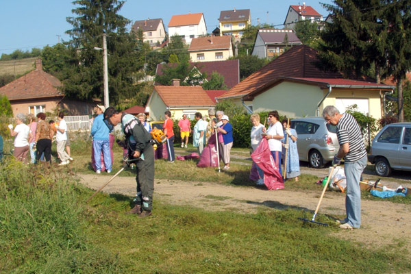 Parlagfű irtás a Baglyaskőnél