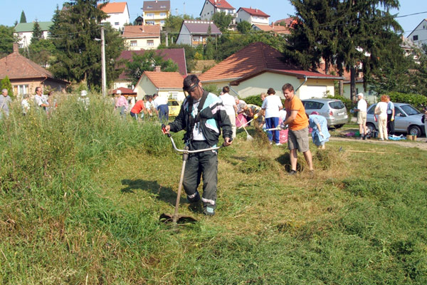 Parlagfű irtás a Baglyaskőnél