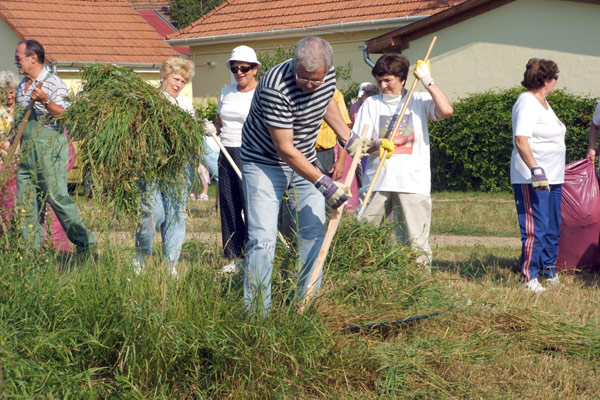 Parlagfű irtás a Baglyaskőnél